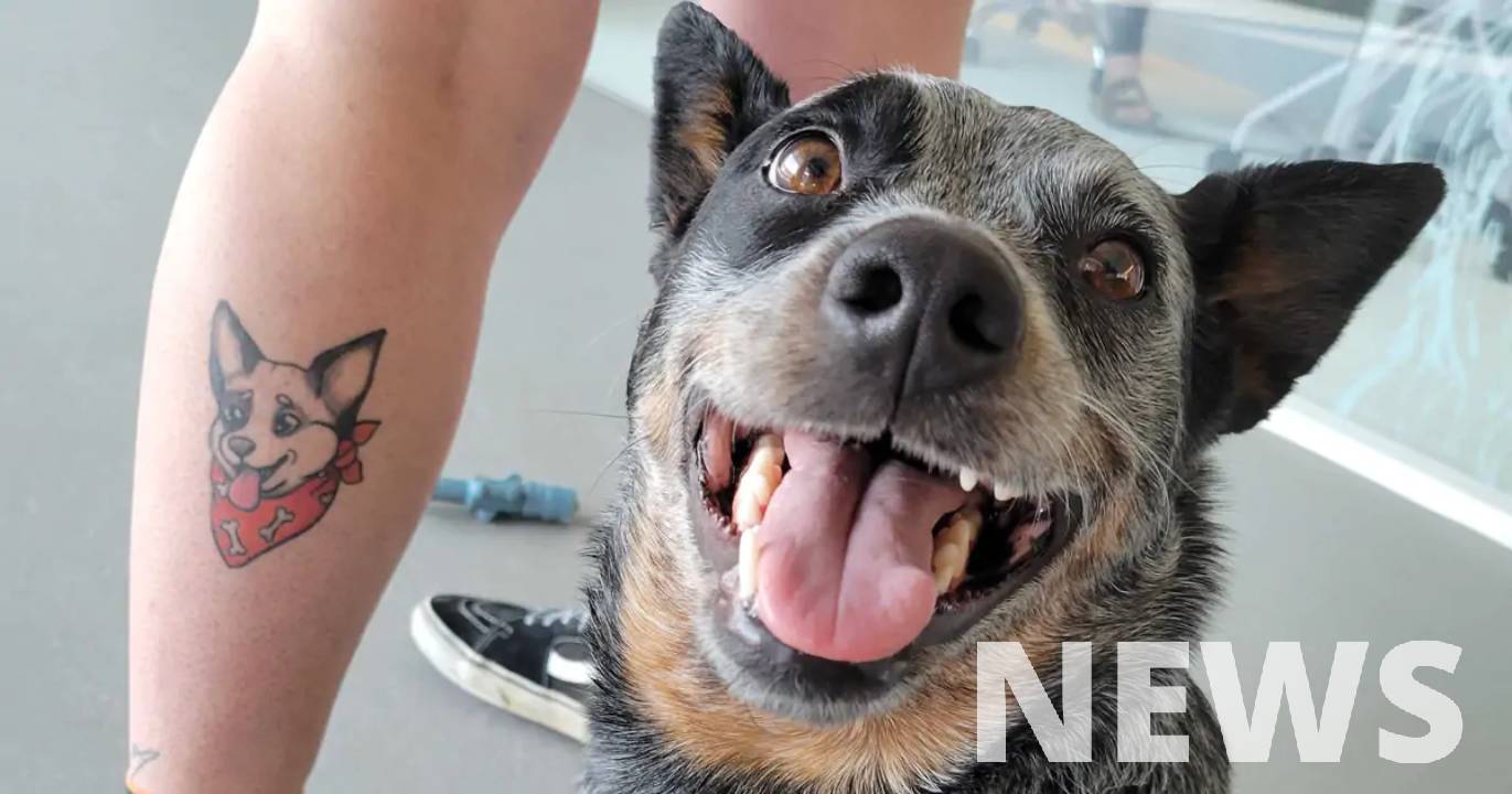Дайджест новостей татуировки с 15 по 21 августа